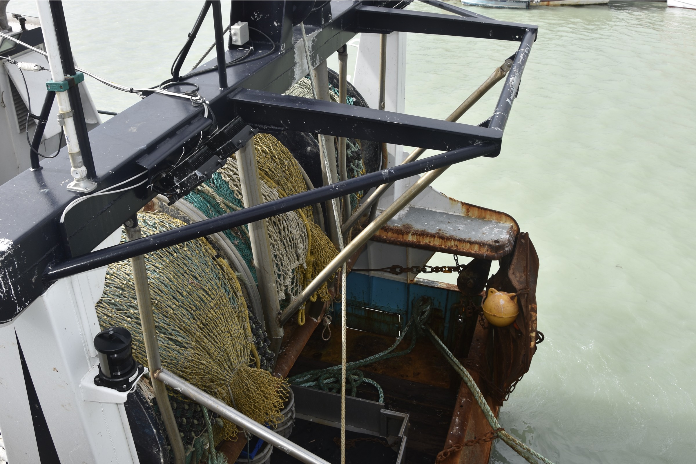 coffee and-coffee-beans