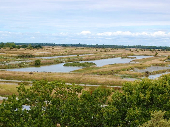 Latte%20and%20croissant